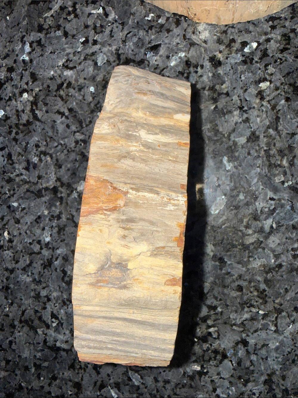 Petrified Wood Custom Bowl B 5 x 7.25โ 4 LBS - Picture 4 of 11